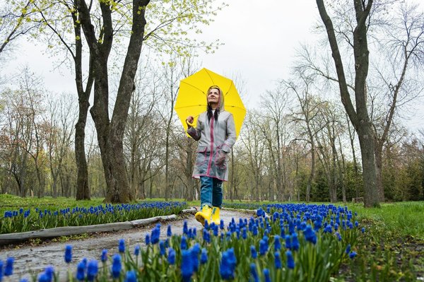 Entrepreneurship: Combattre les difficultés d'un restaurant- Chambre d'hôte